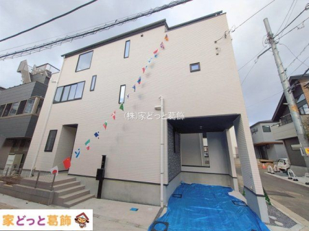 ���n�O�ώʐ^ �B�e��(2026-02-16 00:00:00)