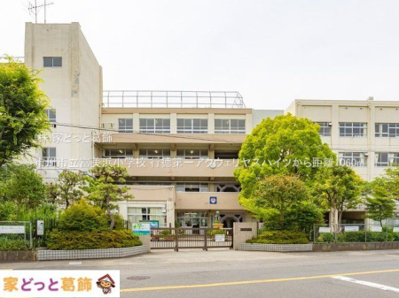 ���ӊ� �s��s���x���l���w�Z �B�e��(2022-06-20) 1060m