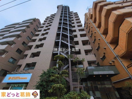 ���n�O�ώʐ^ �B�e��(2026-03-02 00:00:00)