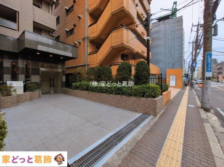 ���n�O�ώʐ^ �B�e��(2026-03-02 00:00:00)