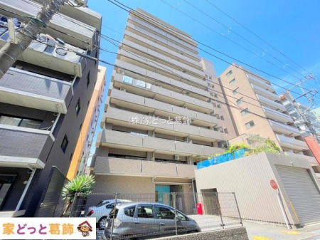 ���n�O�ώʐ^ �B�e��(2024-05-15 00:00:00)