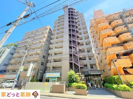 ���n�O�ώʐ^ �B�e��(2024-05-15 00:00:00)