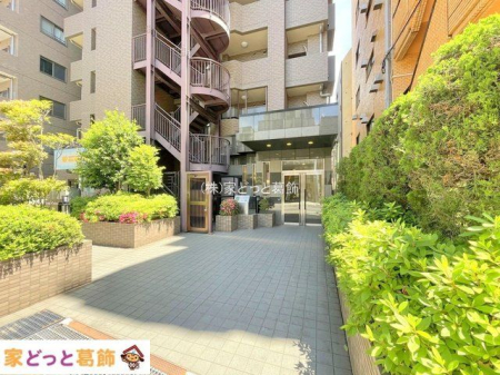 �G���g�����X �B�e��(2024-05-15 00:00:00)