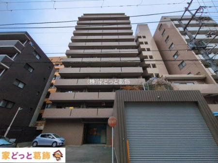 ���n�O�ώʐ^ �B�e��(2026-03-02 00:00:00)