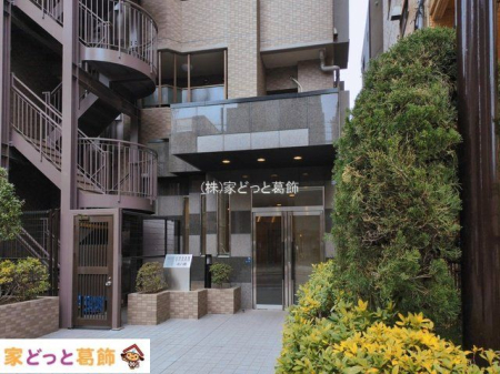 �G���g�����X �B�e��(2026-03-02 00:00:00)