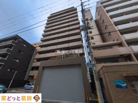 ���n�O�ώʐ^ �B�e��(2026-03-02 00:00:00)