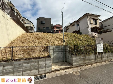 ���n�y�n�ʐ^ �O��