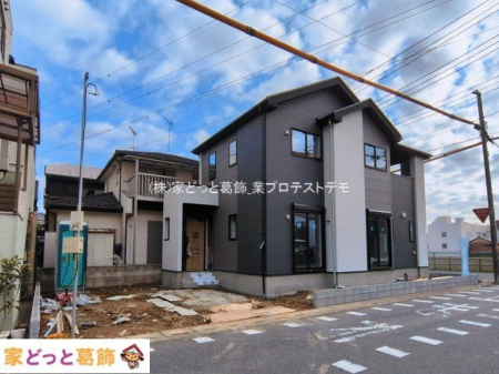 ���n�O�ώʐ^ �B�e��(2026-03-06 00:00:00)