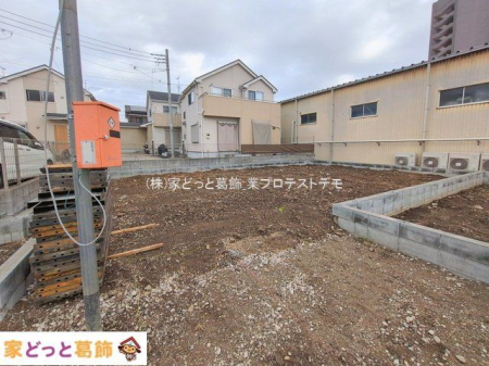 ���n�O�ώʐ^ �B�e��(2026-02-17 00:00:00)