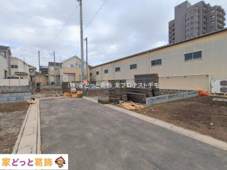 ���n�O�ώʐ^ �B�e��(2026-02-17 00:00:00)