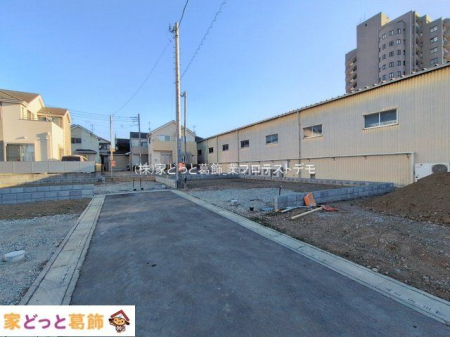 ���n�O�ώʐ^ �B�e��(2026-01-29 00:00:00)