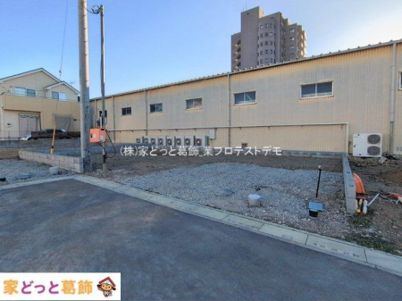 ���n�O�ώʐ^ �B�e��(2026-01-29 00:00:00)