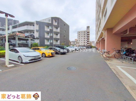 ���n�O�ώʐ^ �B�e��(2025-09-12 00:00:00)