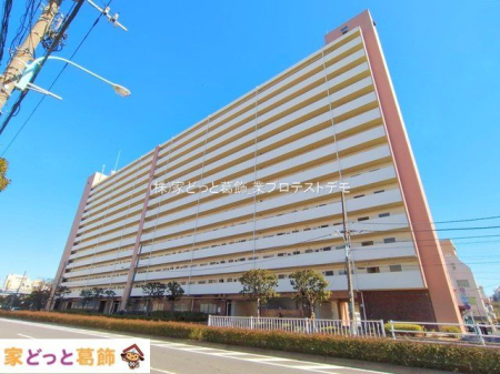 ���n�O�ώʐ^ �B�e��(2025-02-10 00:00:00)