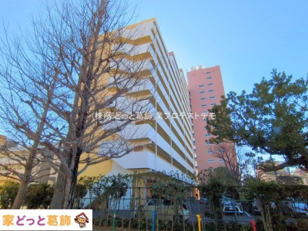 ���n�O�ώʐ^ �B�e��(2025-02-10 00:00:00)