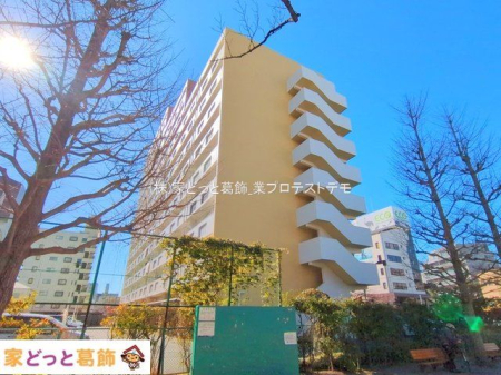 ���n�O�ώʐ^ �B�e��(2025-02-10 00:00:00)