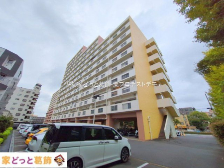 ���n�O�ώʐ^ �B�e��(2025-09-12)