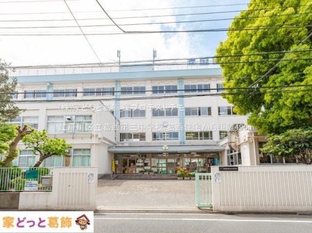 ���ӊ� �]�ː�旧������O���w�Z �B�e��(2021-04-16) 490m