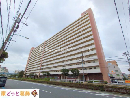 ���n�O�ώʐ^ �B�e��(2025-09-12 00:00:00)