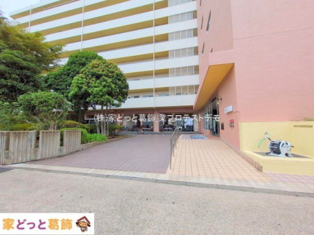 ���n�O�ώʐ^ �B�e��(2025-09-12 00:00:00)