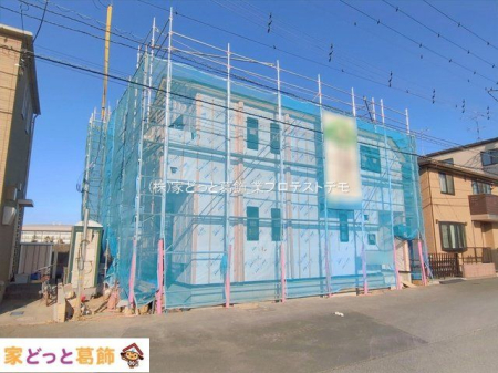 ���n�O�ώʐ^ �B�e��(2026-01-30 00:00:00)