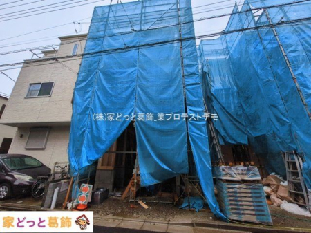 ���n�O�ώʐ^ �B�e��(2026-03-03)