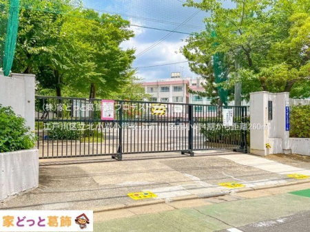 ���ӊ� �]�ː�旧�k���⏬�w�Z �B�e��(2022-07-11) 260m