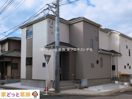 ���n�O�ώʐ^ �B�e��(2026-03-06 00:00:00)