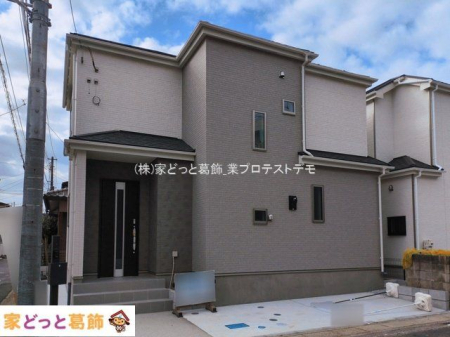 ���n�O�ώʐ^ �B�e��(2026-03-06)