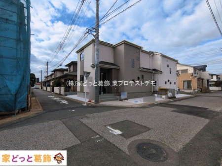 ���n�O�ώʐ^ �B�e��(2026-03-06)