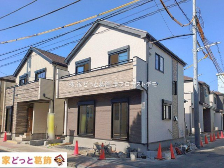 ���n�O�ώʐ^ �B�e��(2026-01-30 00:00:00)