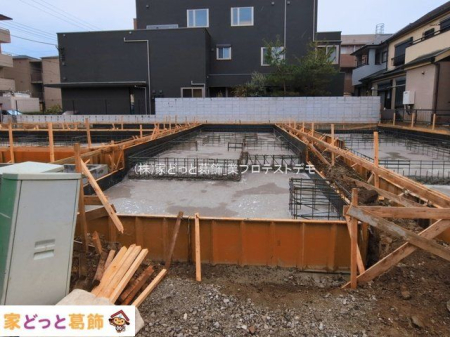 ���n�O�ώʐ^ �B�e��(2026-03-19 00:00:00)