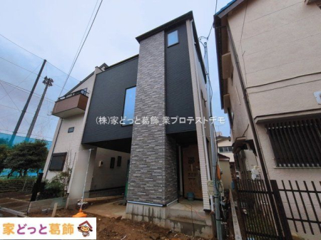 ���n�O�ώʐ^ �B�e��(2026-03-03 00:00:00)