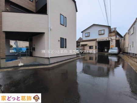 ���n�O�ώʐ^ �B�e��(2026-03-03 00:00:00)