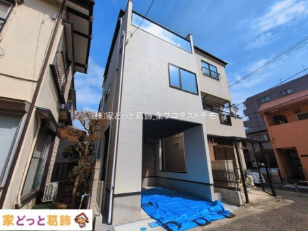 ���n�O�ώʐ^ �B�e��(2026-03-18 00:00:00)