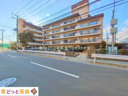 ���n�O�ώʐ^ �B�e��(2025-01-07 00:00:00)