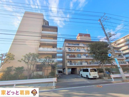 ���n�O�ώʐ^ �B�e��(2025-01-07 00:00:00)