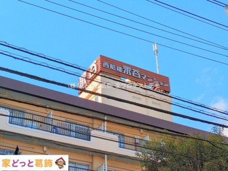 �G���g�����X �B�e��(2025-01-07 00:00:00)