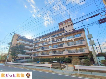 ���n�O�ώʐ^ �B�e��(2025-01-07)