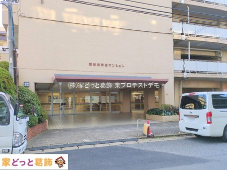 �G���g�����X �B�e��(2025-01-07)