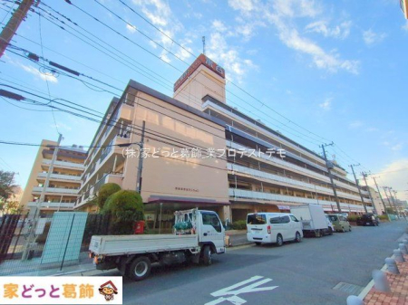 ���n�O�ώʐ^ �B�e��(2025-01-07 00:00:00)