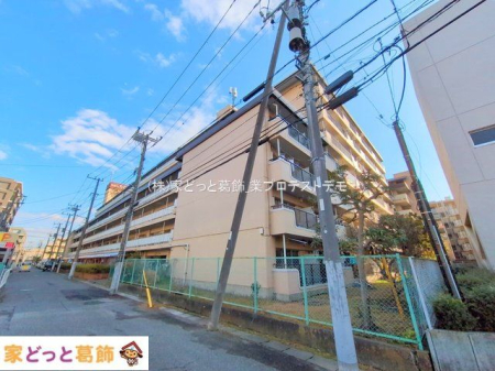 ���n�O�ώʐ^ �B�e��(2025-01-07 00:00:00)