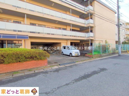 ���n�O�ώʐ^ �B�e��(2025-01-07 00:00:00)