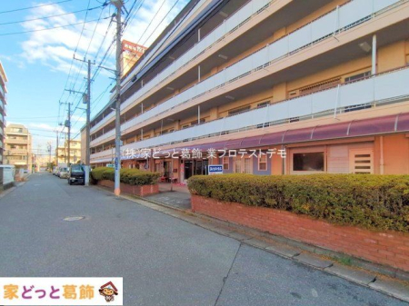 ���n�O�ώʐ^ �B�e��(2025-01-07 00:00:00)