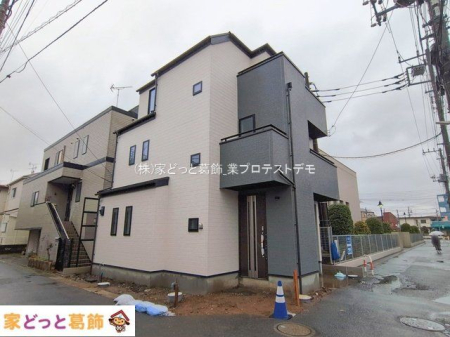 ���n�O�ώʐ^ �B�e��(2026-02-25 00:00:00)