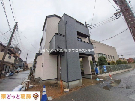 ���n�O�ώʐ^ �B�e��(2026-02-25 00:00:00)