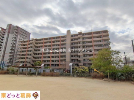 ���n�O�ώʐ^ �B�e��(2026-01-20 00:00:00)