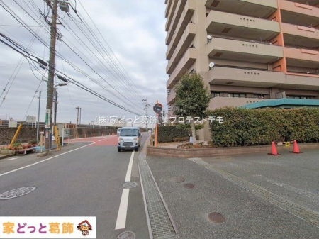 ���n�O�ώʐ^ �B�e��(2026-01-20 00:00:00)