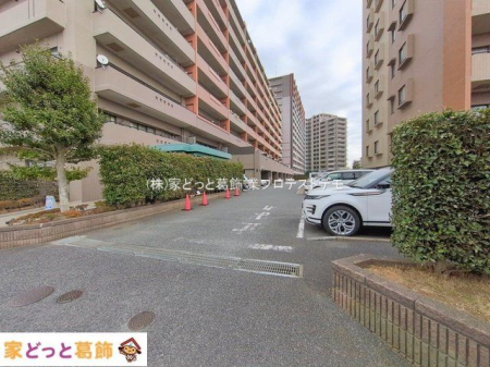 ���n�O�ώʐ^ �B�e��(2026-01-20 00:00:00)