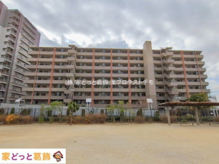 ���n�O�ώʐ^ �B�e��(2026-01-20 00:00:00)